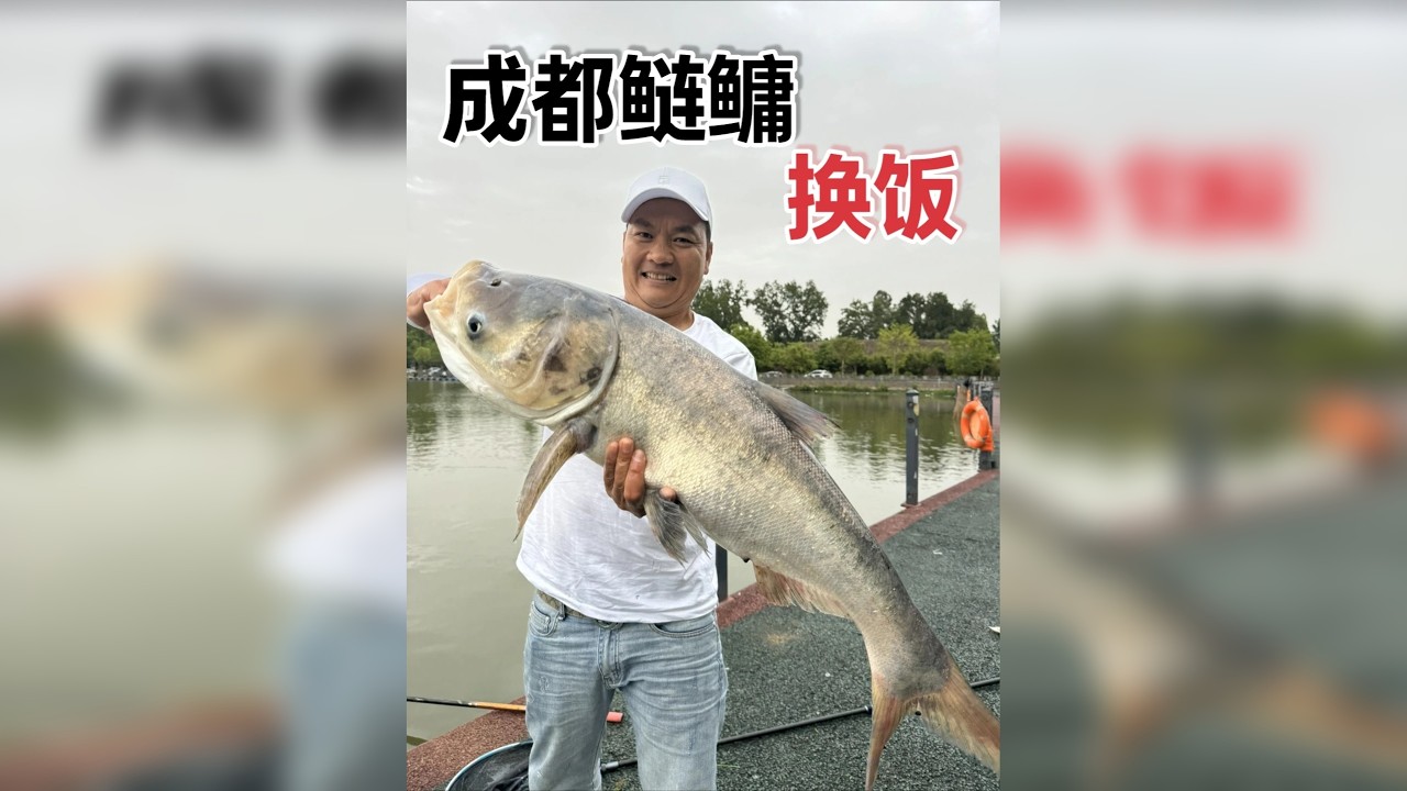 这20多斤的鲢鳙能换到一顿饭吗