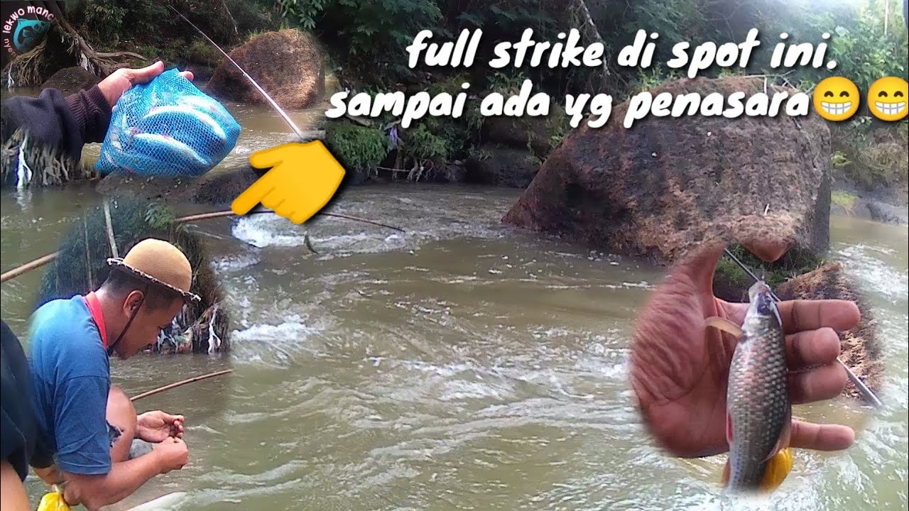 panen nilem di spot yg di ragukan.pinggang sampek pegel( part#1) #microfishing#nutulmelem#umpanjitu