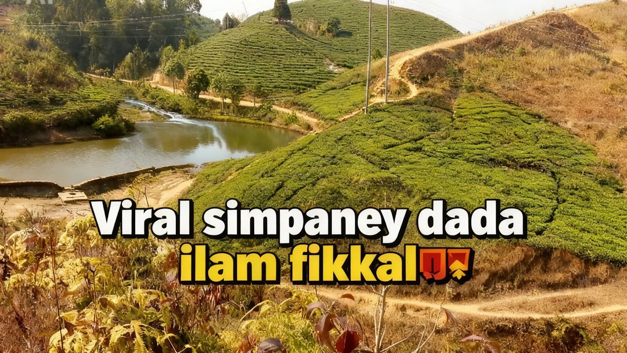 Viral simpaney dada ilam fikkalWow😱#1ksubscribers #viral #nepali #naturelovers #travelers #ilam 