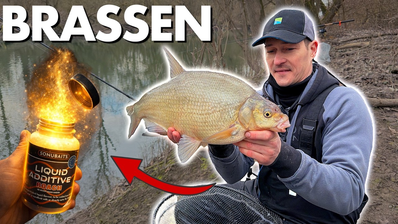 WUNDERWAFFE am ALTRHEIN?! 😳 Große BRASSEN mit dieser Taktik gefangen | Feederangeln am Fluss