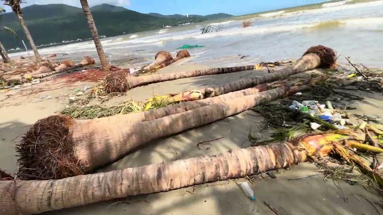 ngày 23 tháng 2, 2026