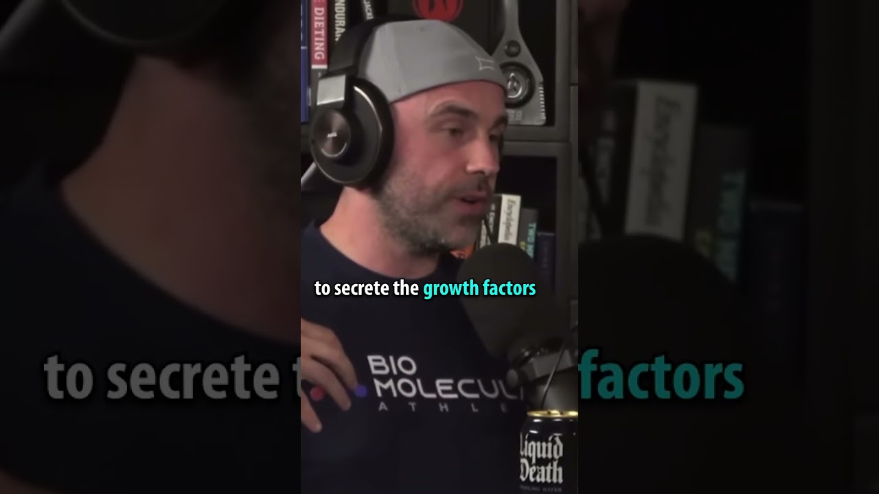 Как действует гормон роста?
