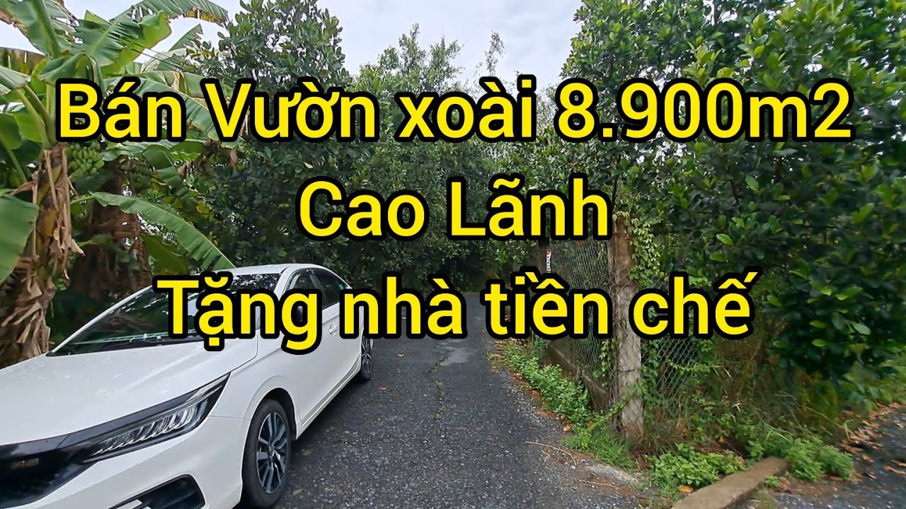 Bán vườn xoài 8.900m2 tặng nhà tiền chế giá tốt | Huyện Cao Lãnh