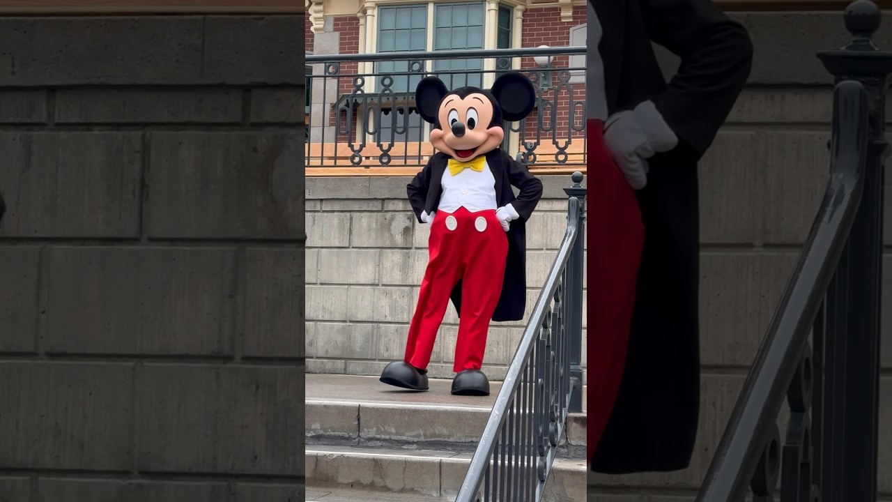 Hey Mickey! 