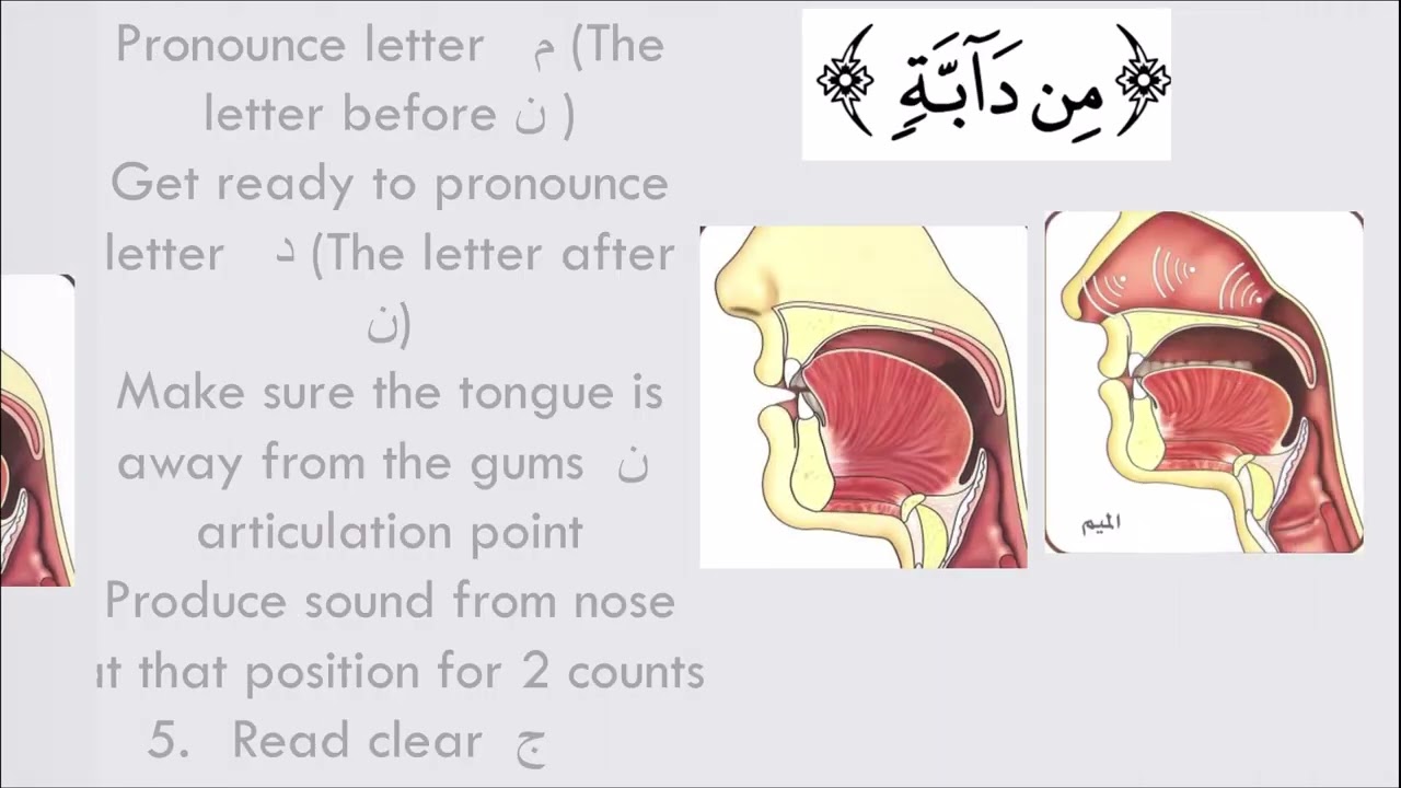 Правило ихфы ​​(скрытия) с помощью буквы дал (د) – Таджвид в упрощенном виде для красивого чтения!