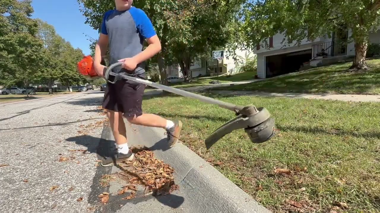 Look how fast this yard changes!
