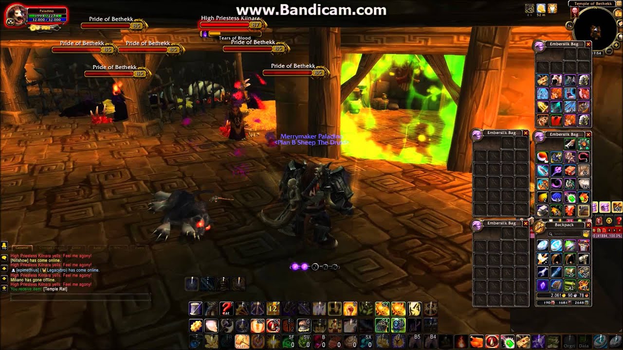 World of Warcraft: [Here, Kitty Kitty...] Achievement Solo