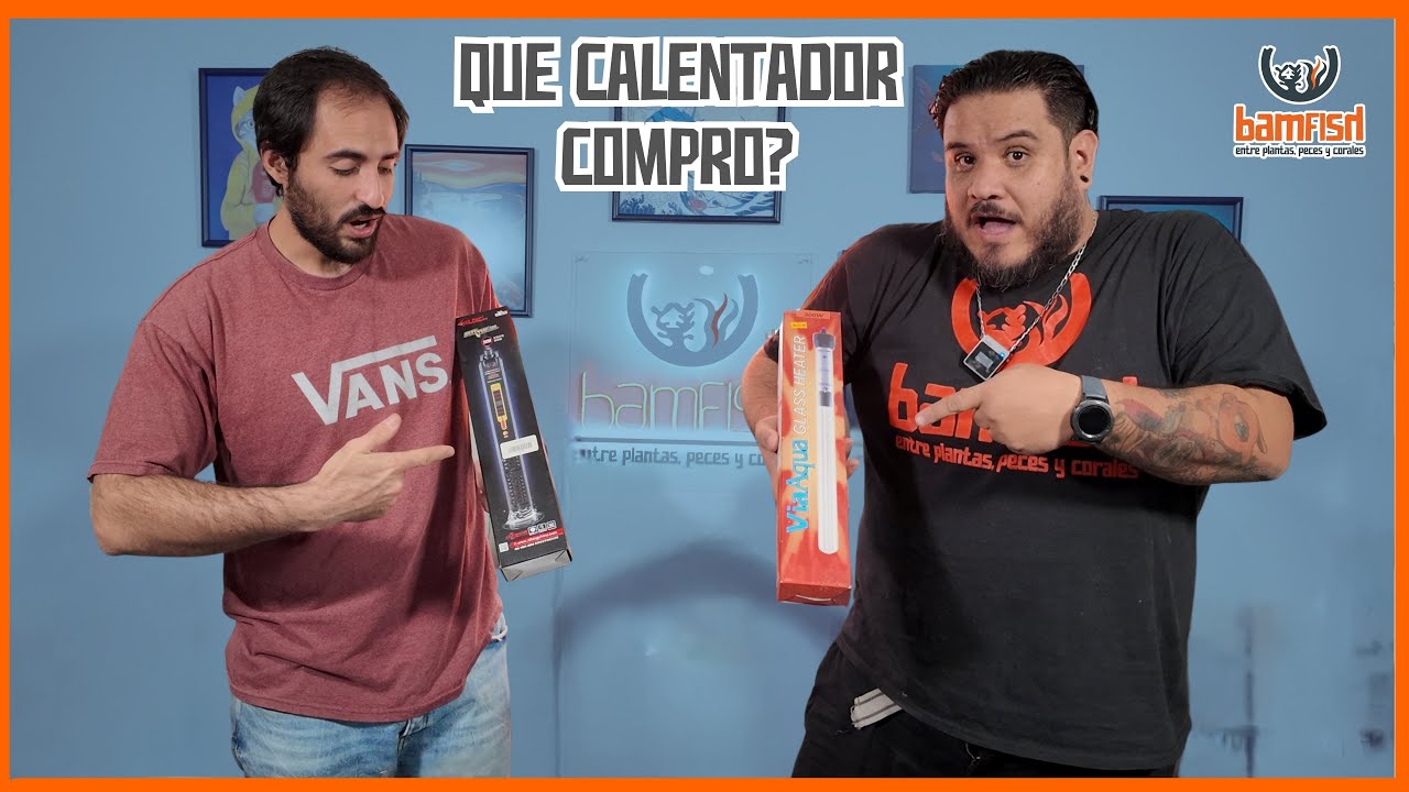 ¿Para qué sirve un calentador? ¿De cuántos watts lo necesito?