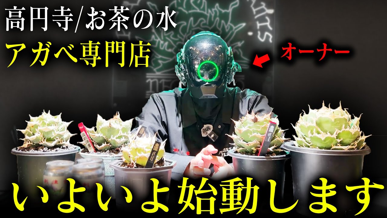 東京のアガベ専門店『PLANET ROCK PLANTS』がYouTube始めるます【多肉植物】【初心者】【ROCKさん】【園芸】
