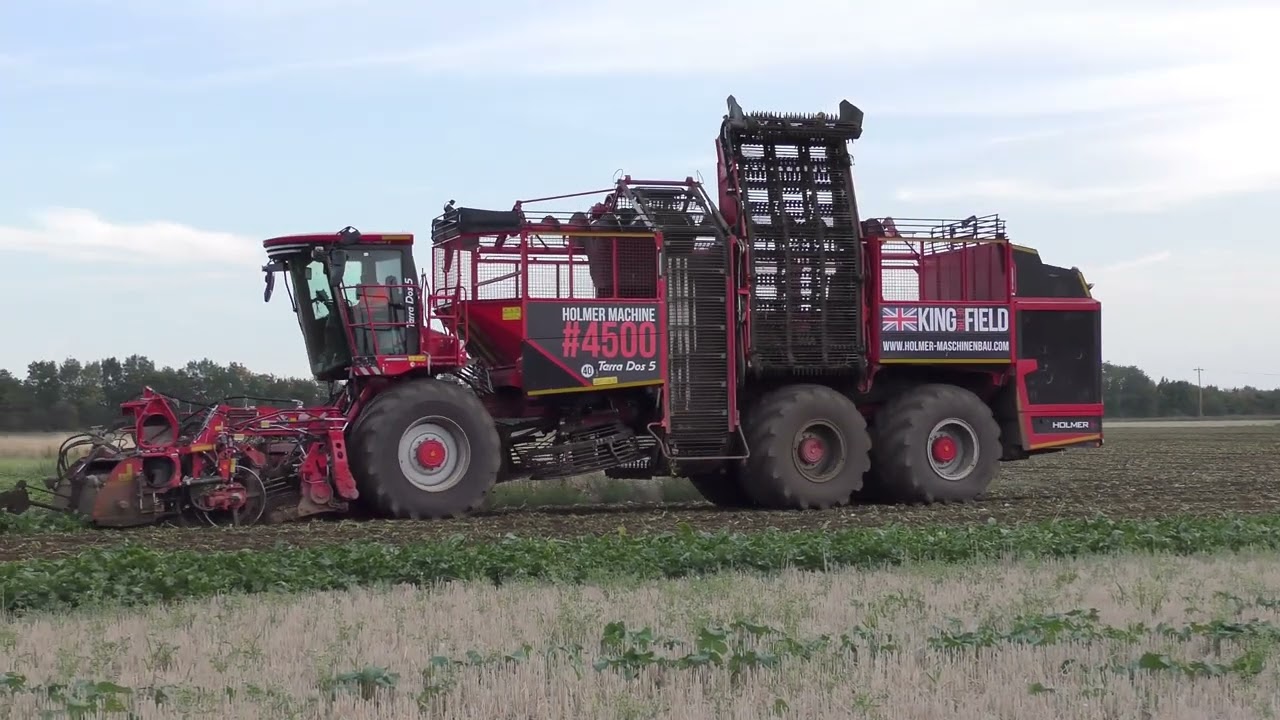 HOLMER 4500 TARRA DOS 5 LIFTING SUGAR BEET