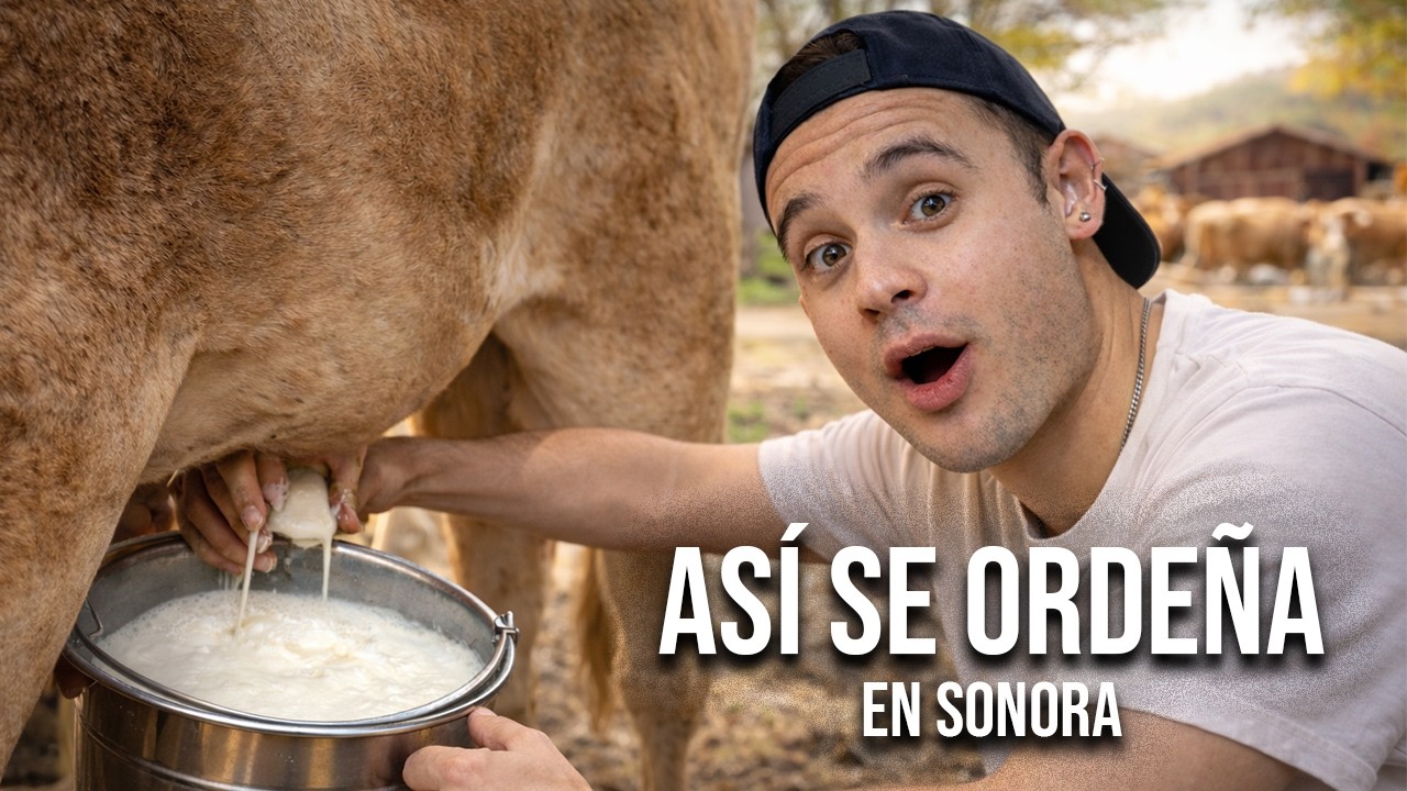 ASÍ SE SACA LECHE DIRECTO DE LA VACA (NO LO CREÍA)