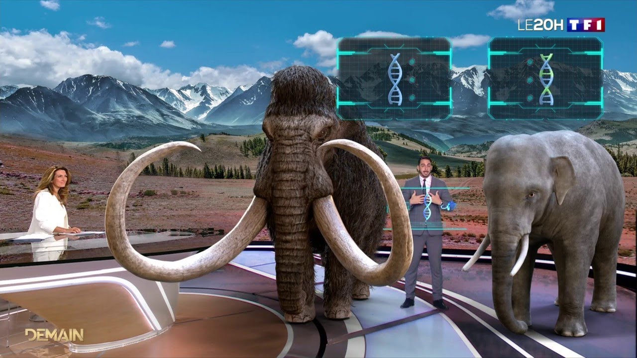 Un mammouth grandeur nature s'invite dimanche au 20H de TF1