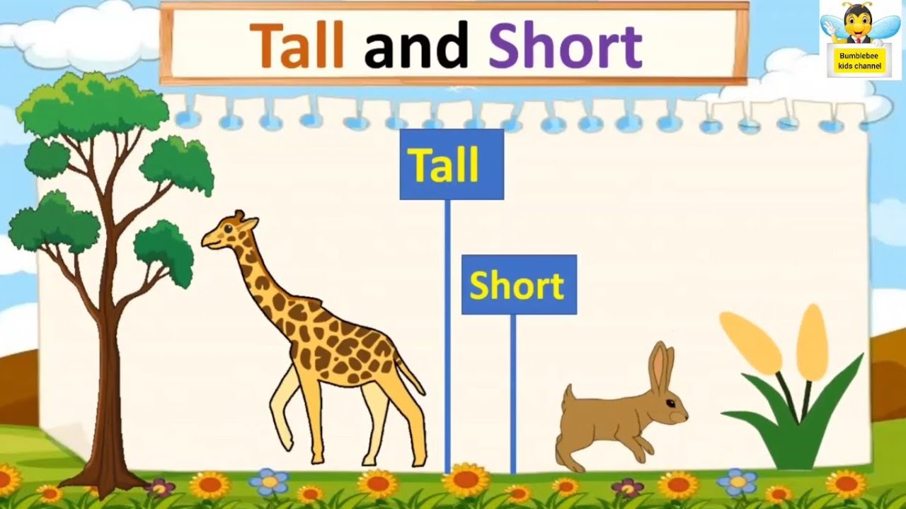 Tall and Short |tall and short concept for kindergarten | tall and short song for kids