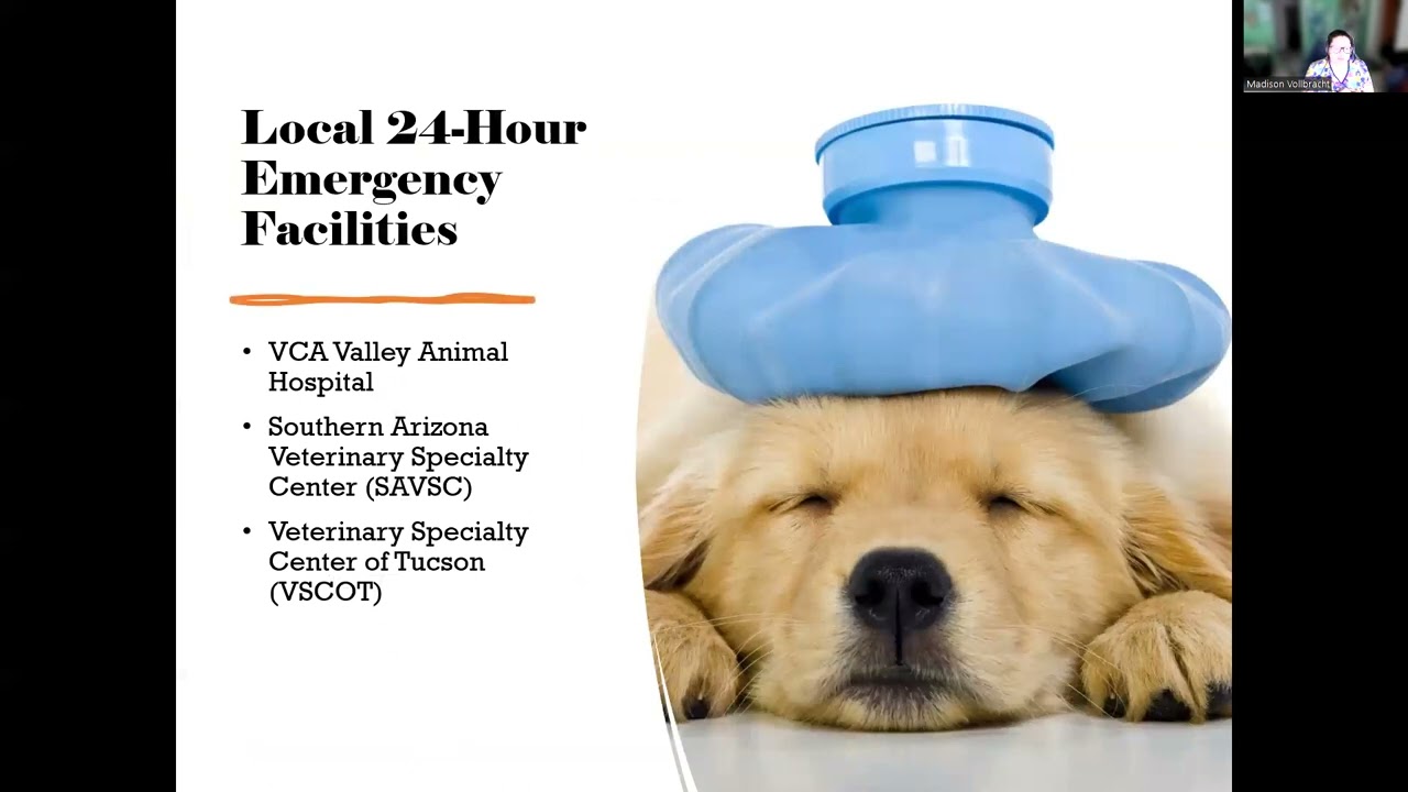 2  Veterinary Practice, OSHA, and Safety