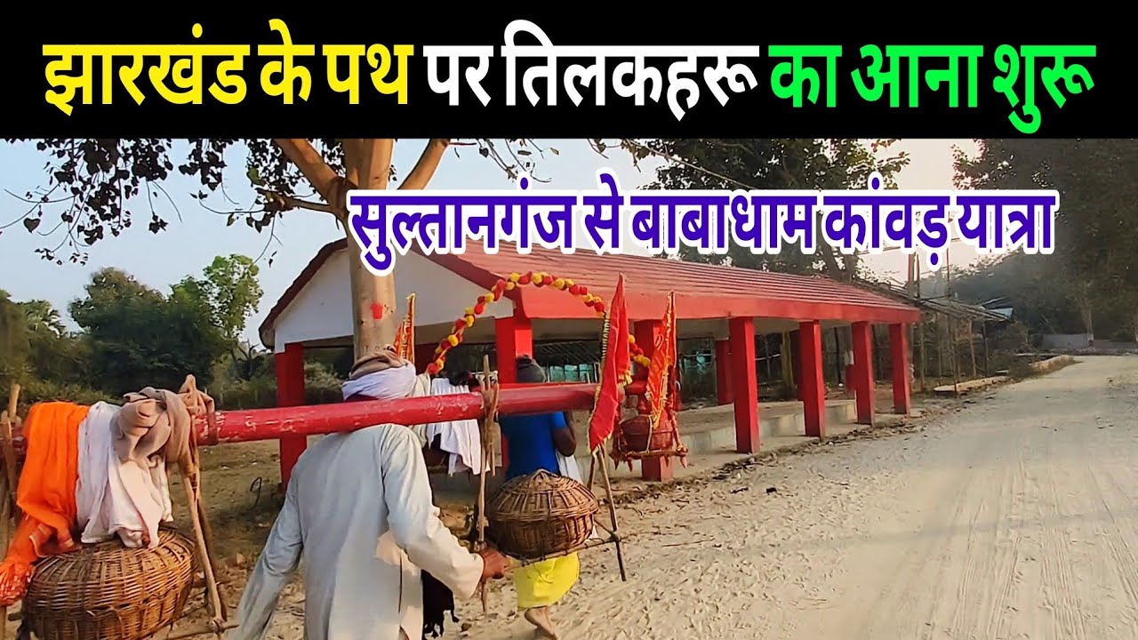 बाबा को तिलक चढ़ाने पहुंचने लगे तिलकहरू | babadham deoghar 2026 | bol bam yatra 2026 | deoghar yatra