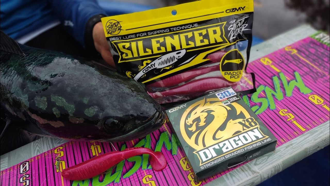 OZMY PADDLEPOP RUBY IN ACTION 🔥🔥🔥