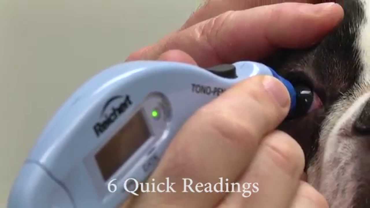 TONOPEN AVIA VET, TONOPEN AVIA, TONOPEN VET, TONOPEN, TONO-PEN, TONOMETER, TONO-PEN XL,