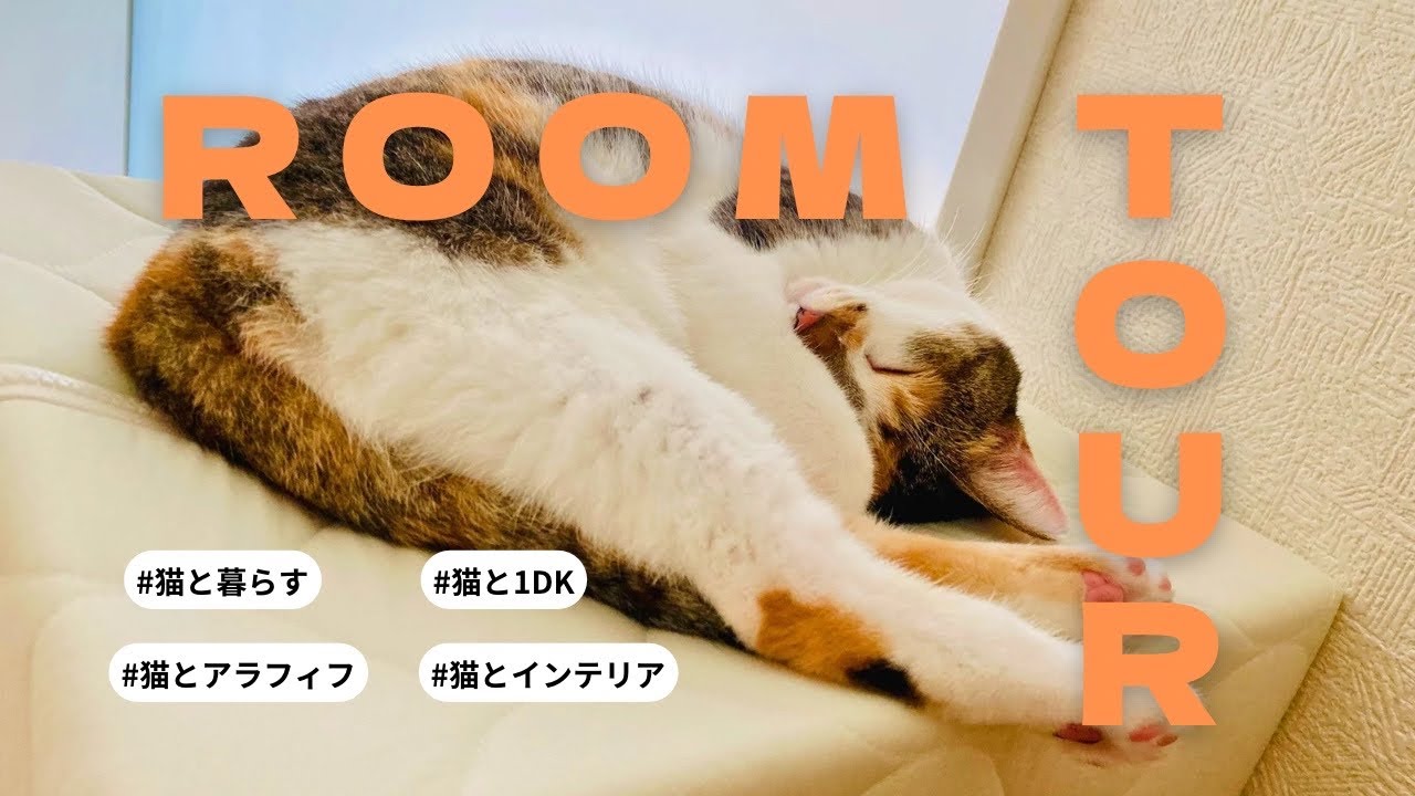 ▶︎猫とアラフィフのルームツアー￤シンプリスト気質￤インテリア馴染む猫グッズ