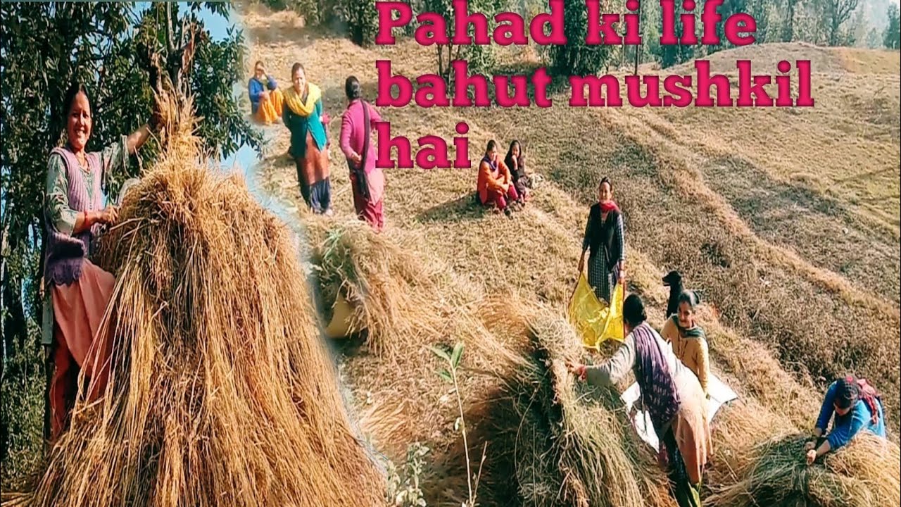 aaj ye kam bhi ho gya😊 !! phadi lifestyle |@Shivanshuuttrakhandi