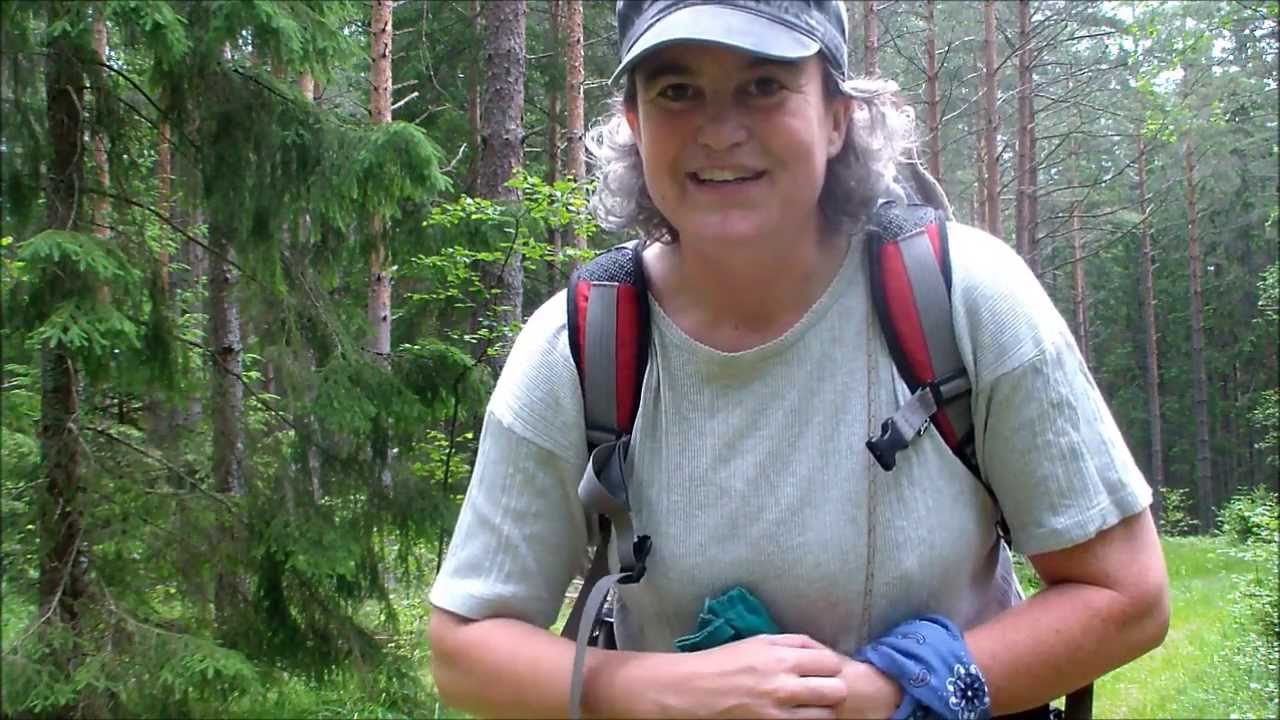 Forest therapy