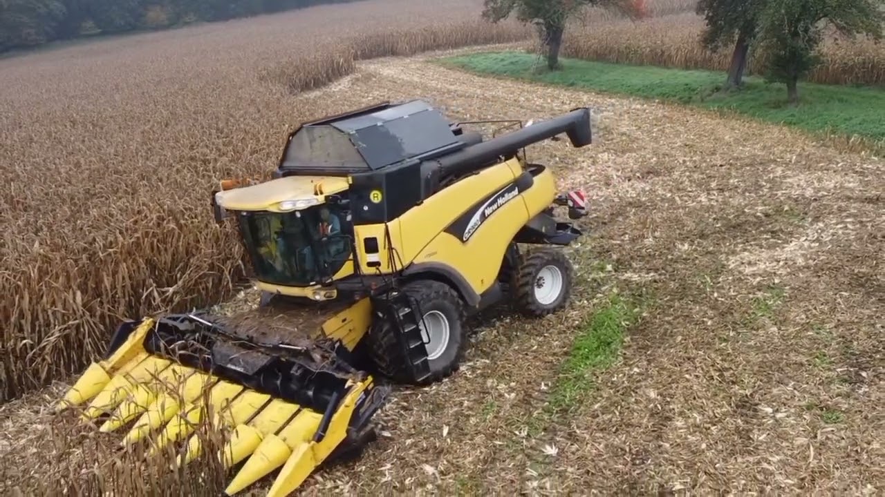 Maisdreschen mit einem New Holland CR980