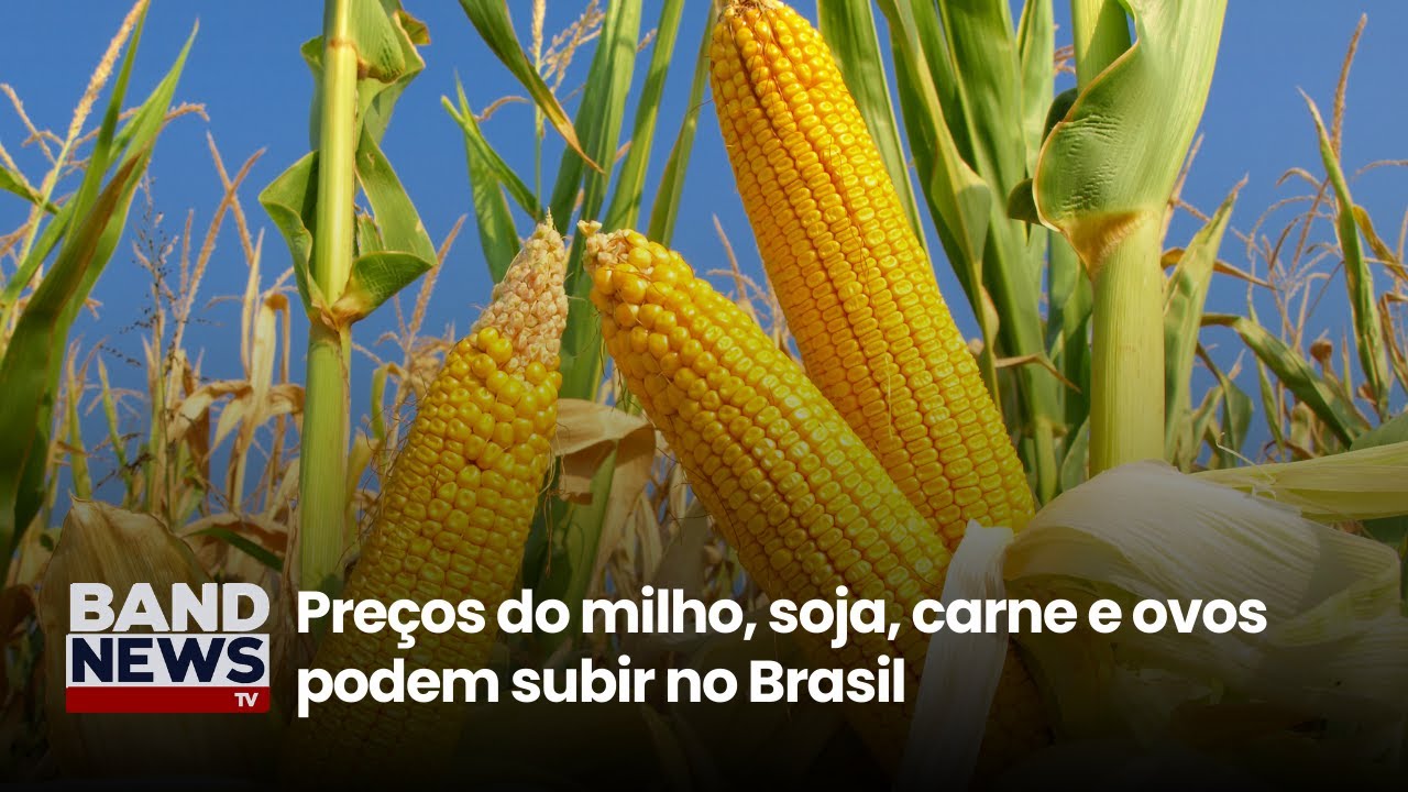 Entenda os impactos da guerra no agronegócio brasileiro | BandNews TV
