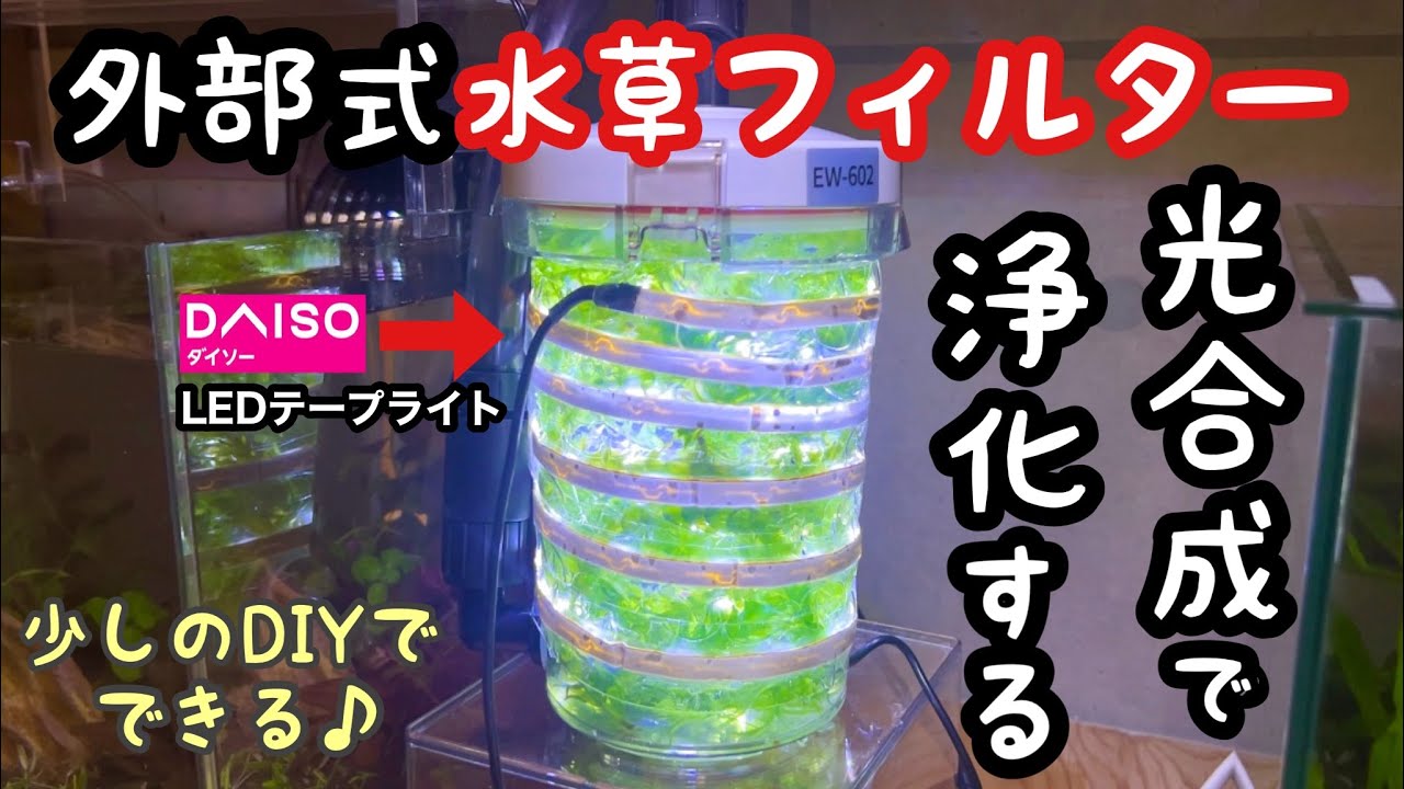 ダイソーLEDで外部式アナカリス濾過装置を作って威力を試します【アクアリウムDIY】水草水槽