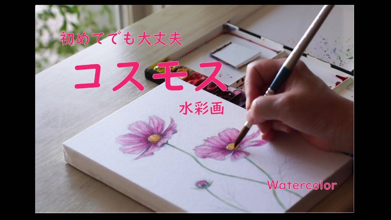 はじめてでも大丈夫｜一緒にコスモスを描いてみましょう(水彩画／Watercolor）