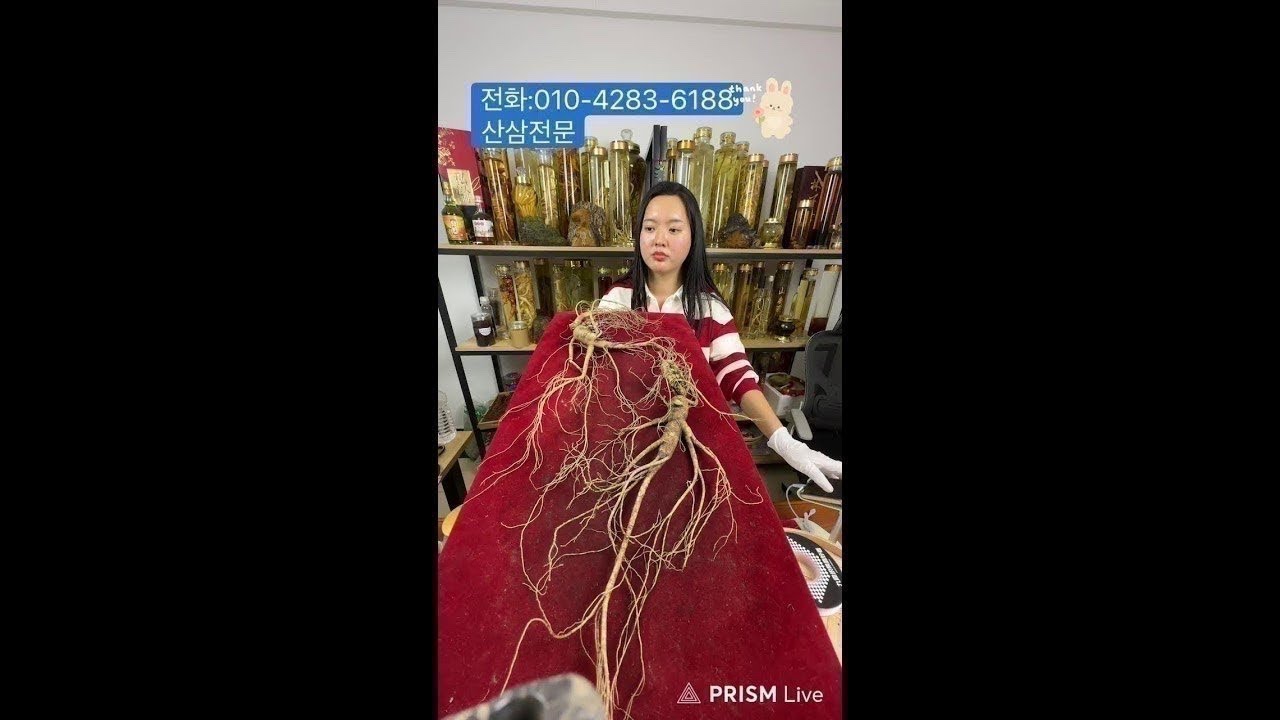 Live streaming of 중국희귀약초