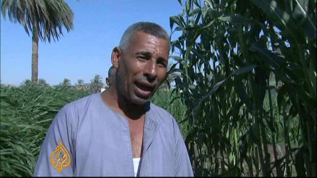Egypt's farmers facing hardship during crisis