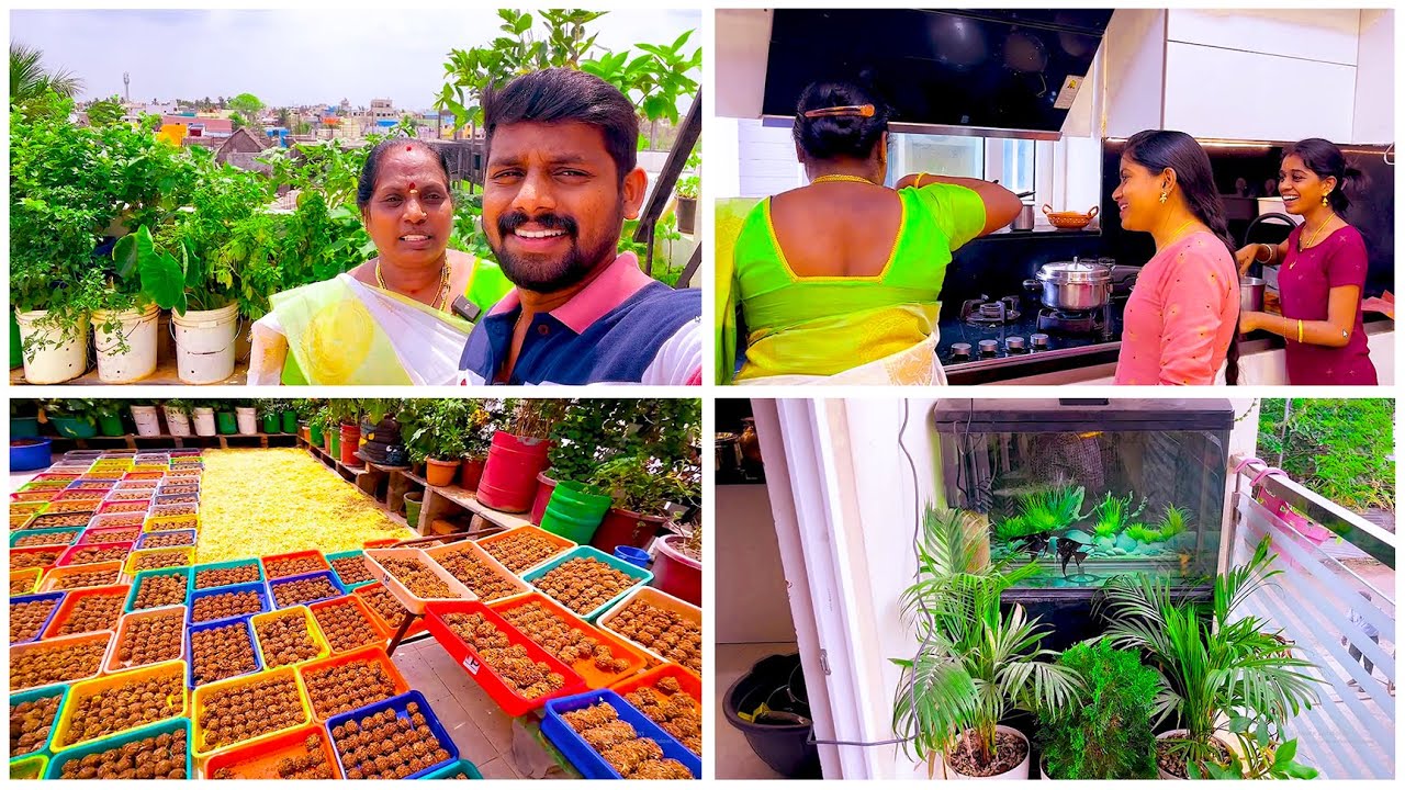 அம்மாவும்😍JAYANTHIயும் சேர்ந்து இதை DECIDE பன்னிருக்காங்க?🤔|PREPARING Lunch|@Ammasamayalrecipes