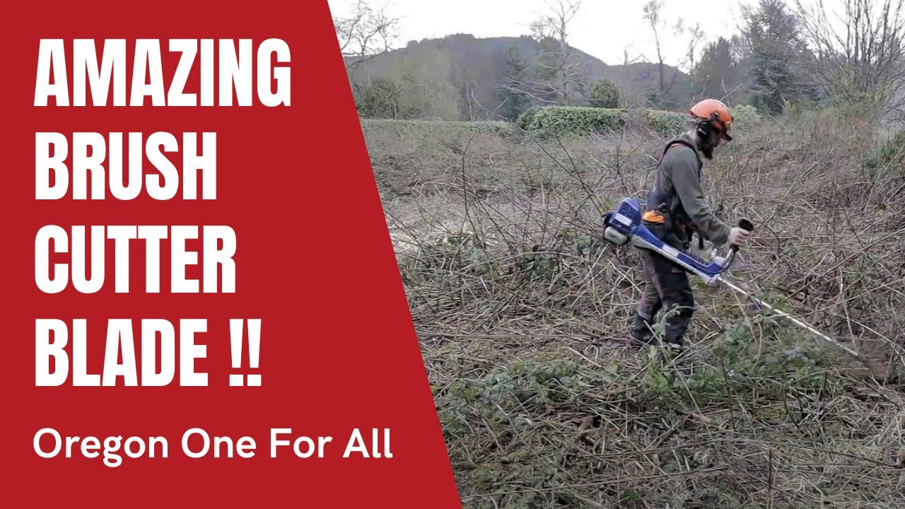 Amazing Brush Cutter Blade - Oregon One For All