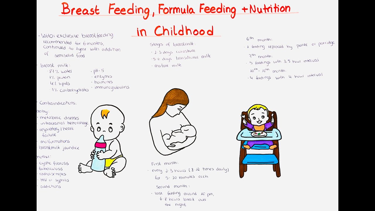 breast feeding formula feeding + nutrition in childhood