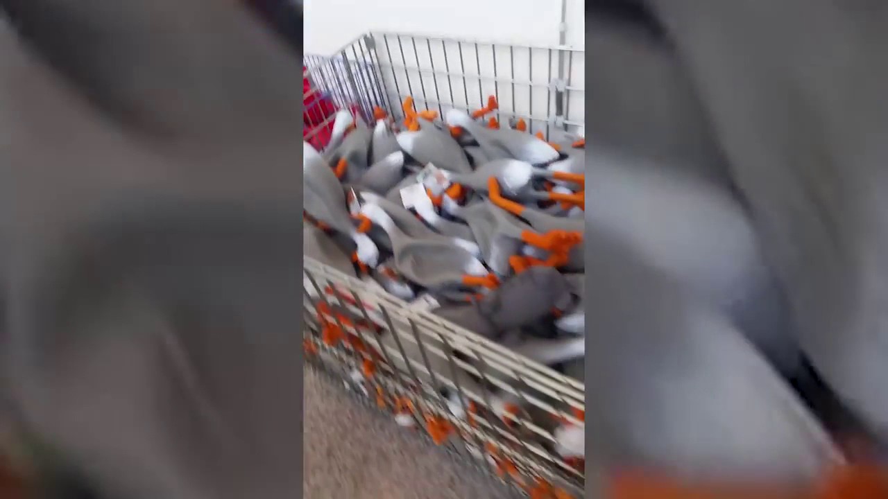 APERTANDO PATOS DE BRINQUEDO NO SUPERMERCADO