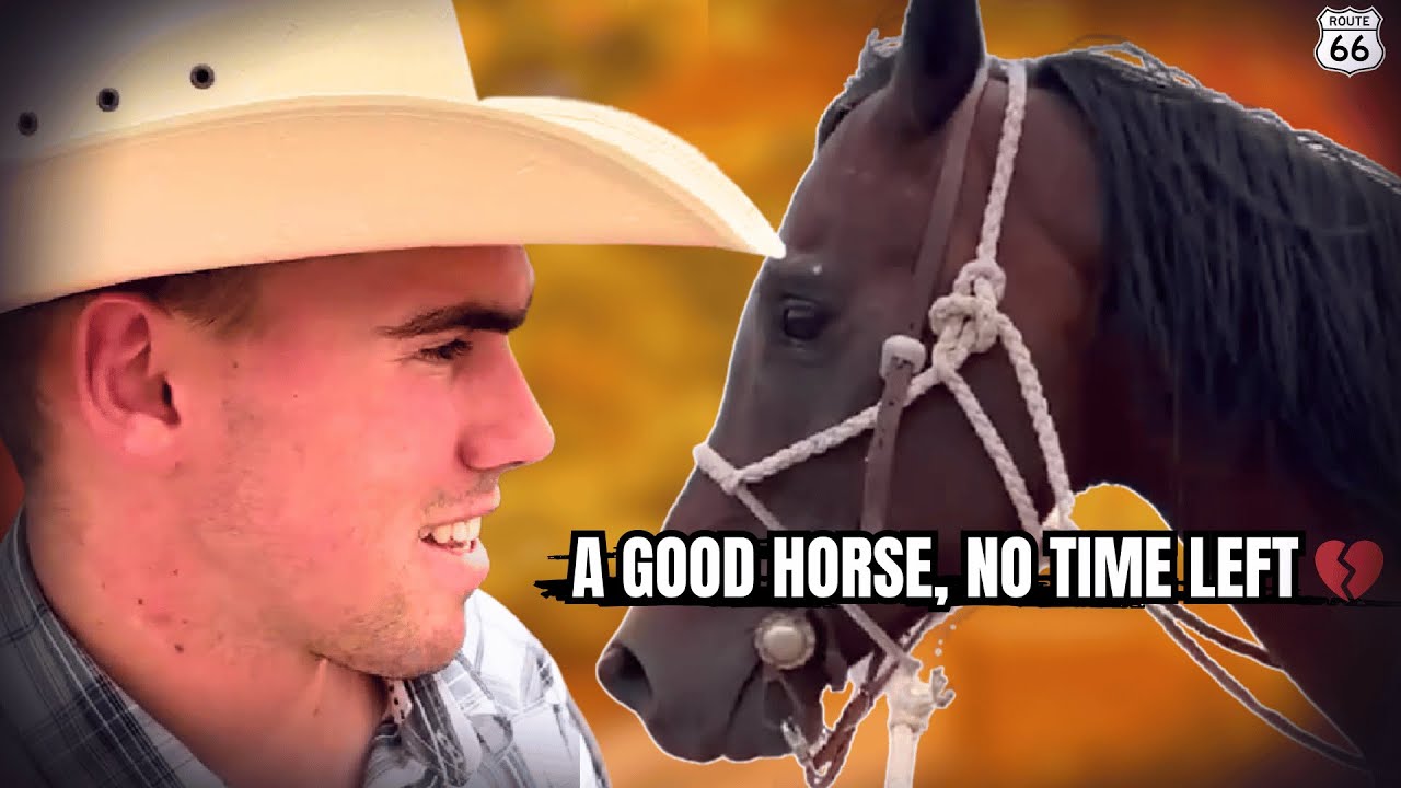 Он купил эту лошадь, чтобы тренировать ее… Но время вышло 💔