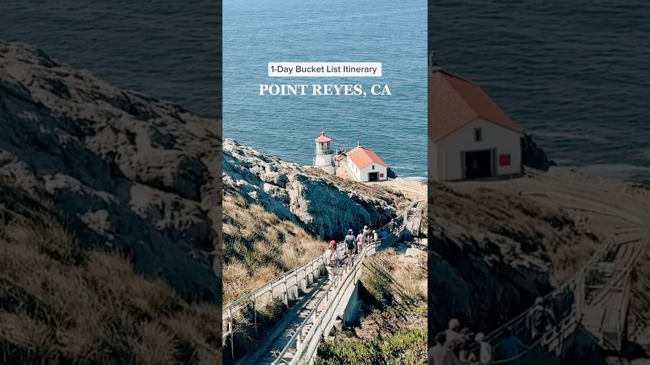 Point Reyes, California one day itinerary things to do #pointreyes #northerncalifornia