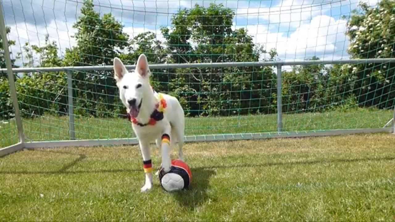 Sam´s World Cup Special