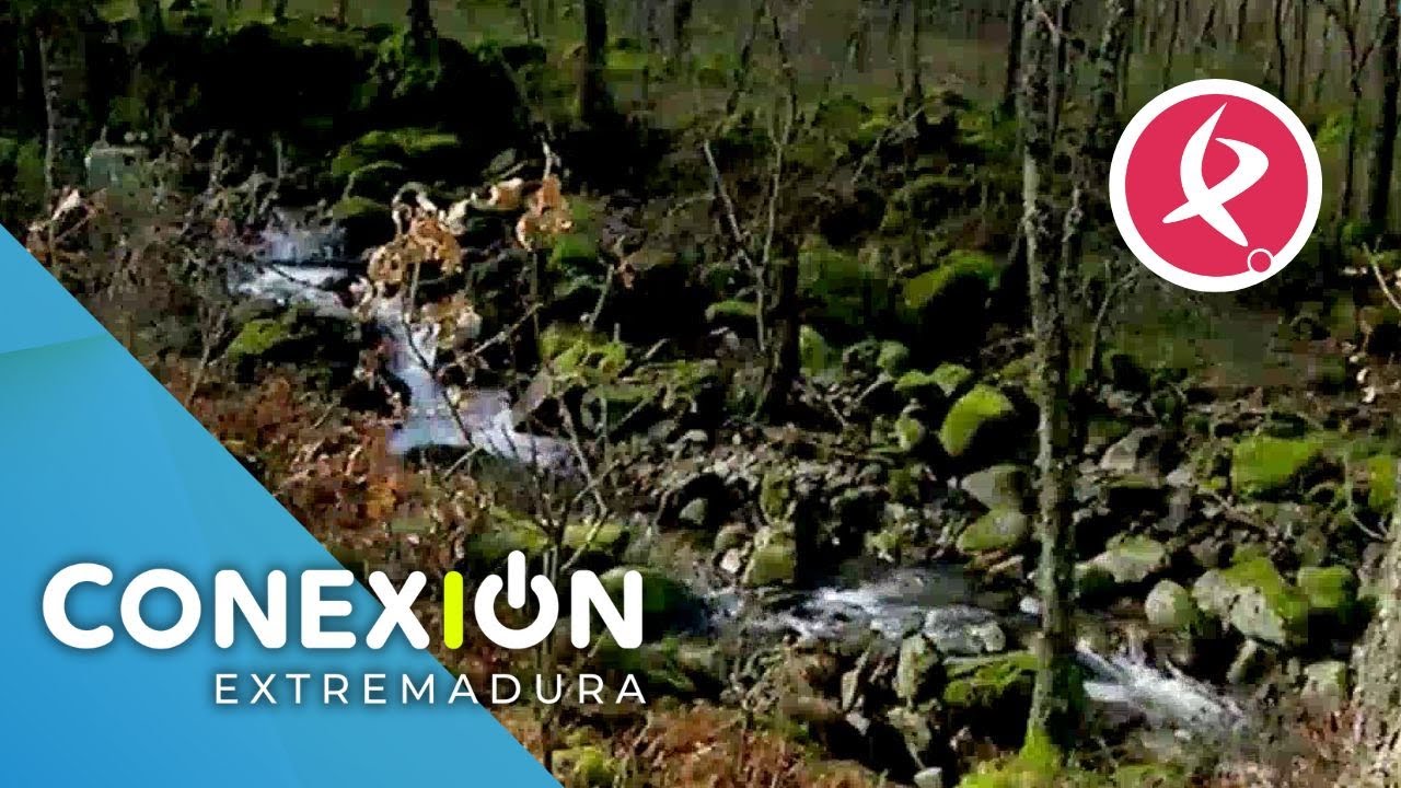 El Valle del Ambroz se protege de los incendios | Conexión Extremadura