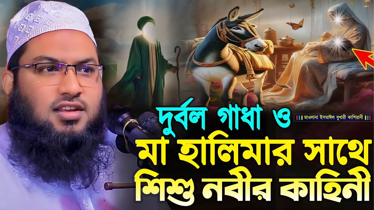দুর্বল গাধা ও মা হালিমার সাথে শিশু নবীর ঘটনা┇মাওলানা ইসমাঈল বুখারী কাশিয়ানী┇Ismail Bukhari Kashian