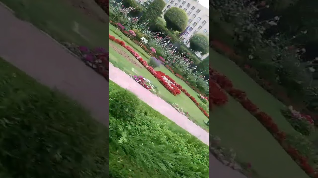 Katoh namun kamu jile kalung hel jie. Usa embassy in new delhi.. 🇺🇸🇺🇸❤️❤️
