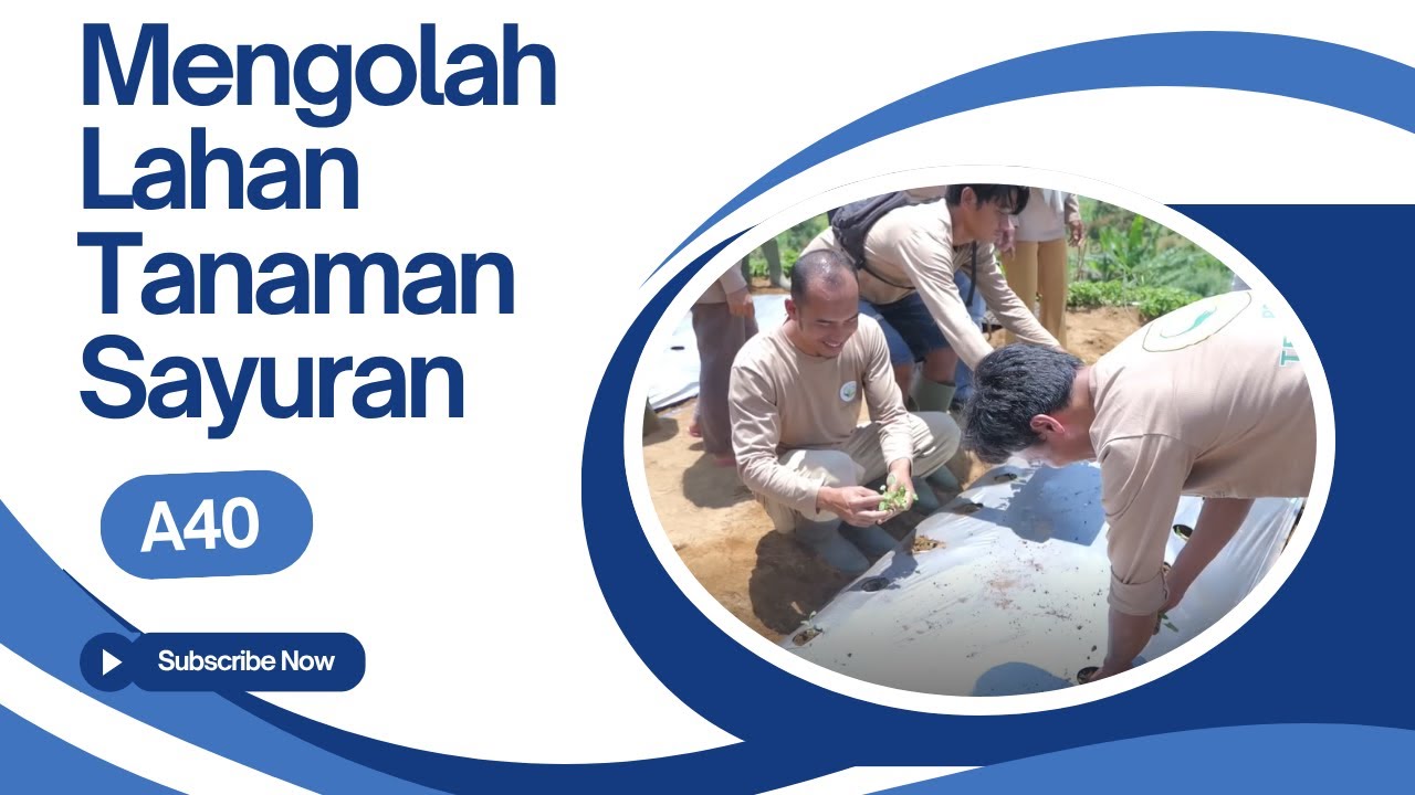 Mengolah Lahan Tanaman Sayuran