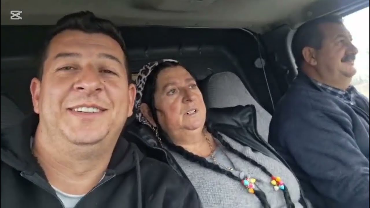 Haideți să vedeți după ce a plecat Elvira în căutare ?