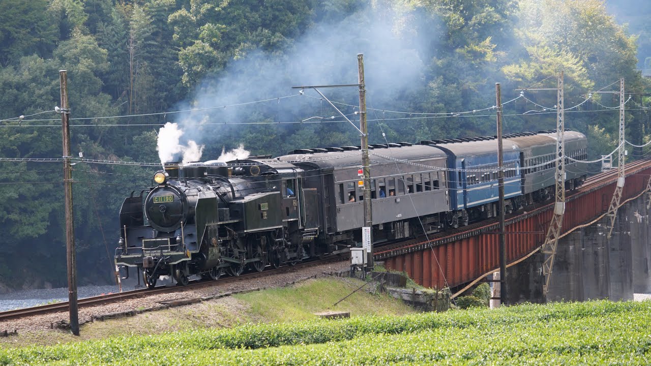 【大井川鐵道】 SL急行「かわね路」C11-190 ＋旧客４両 [Oigawa-railway Steam-locomotive Class C11-190 + Old passenger cars]