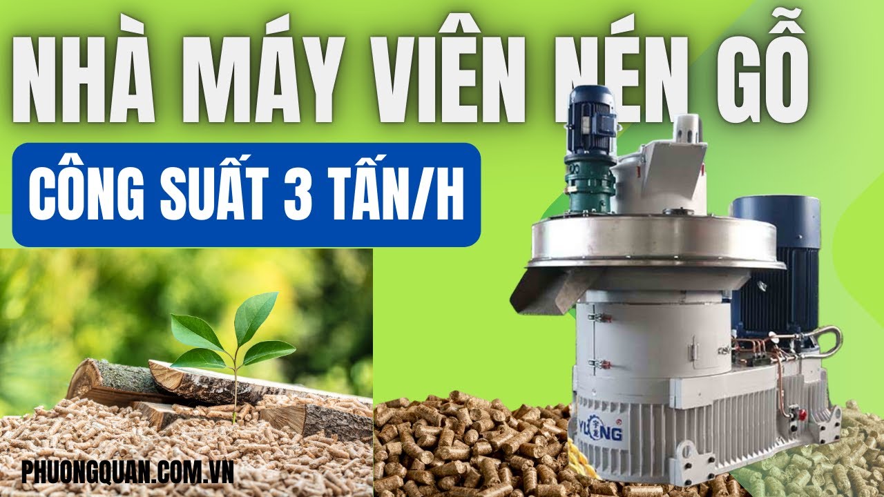 Nhà máy viên nén gỗ 3 tấn: Giải pháp sản xuất tối ưu
