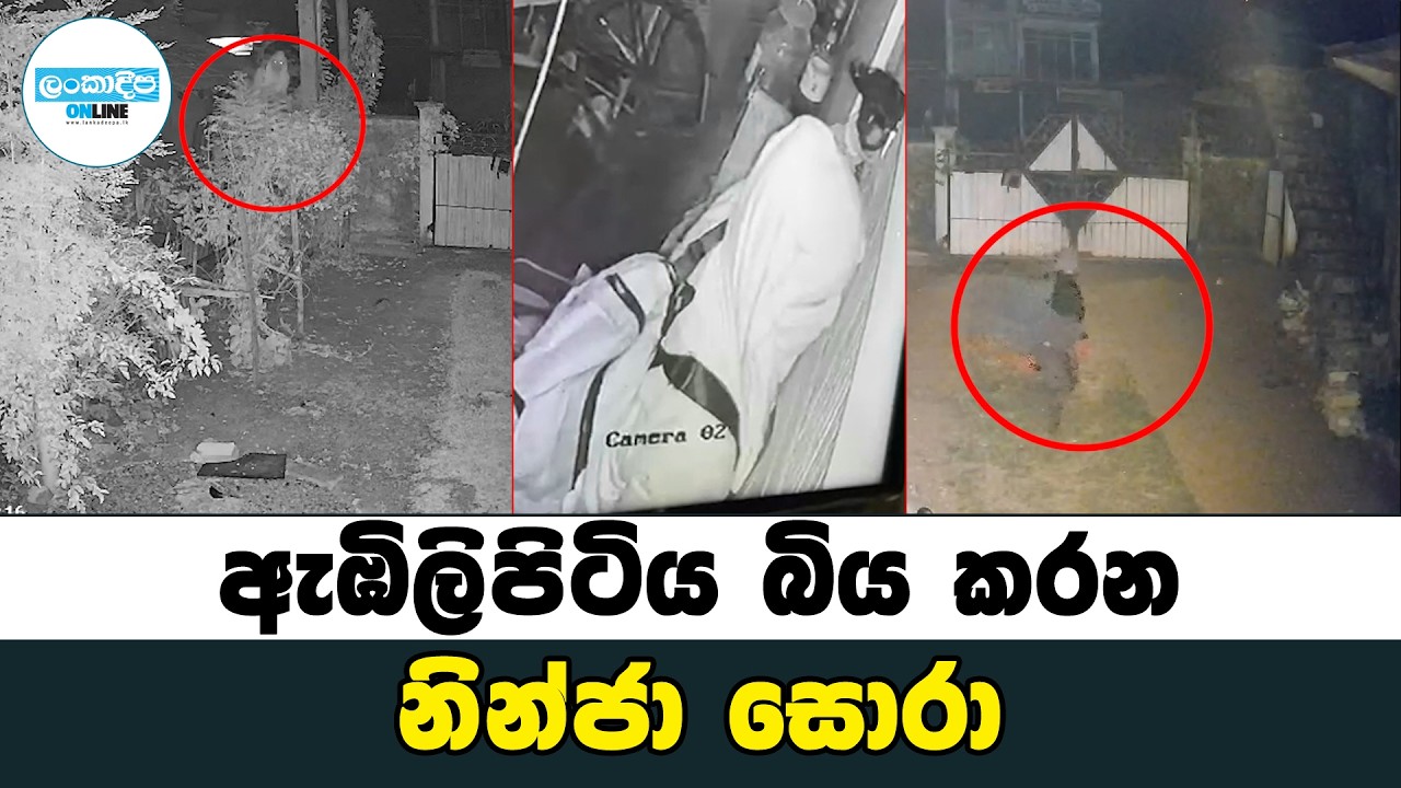 ඇඹිලිපිටිය බිය කරන නින්ජා සොරා