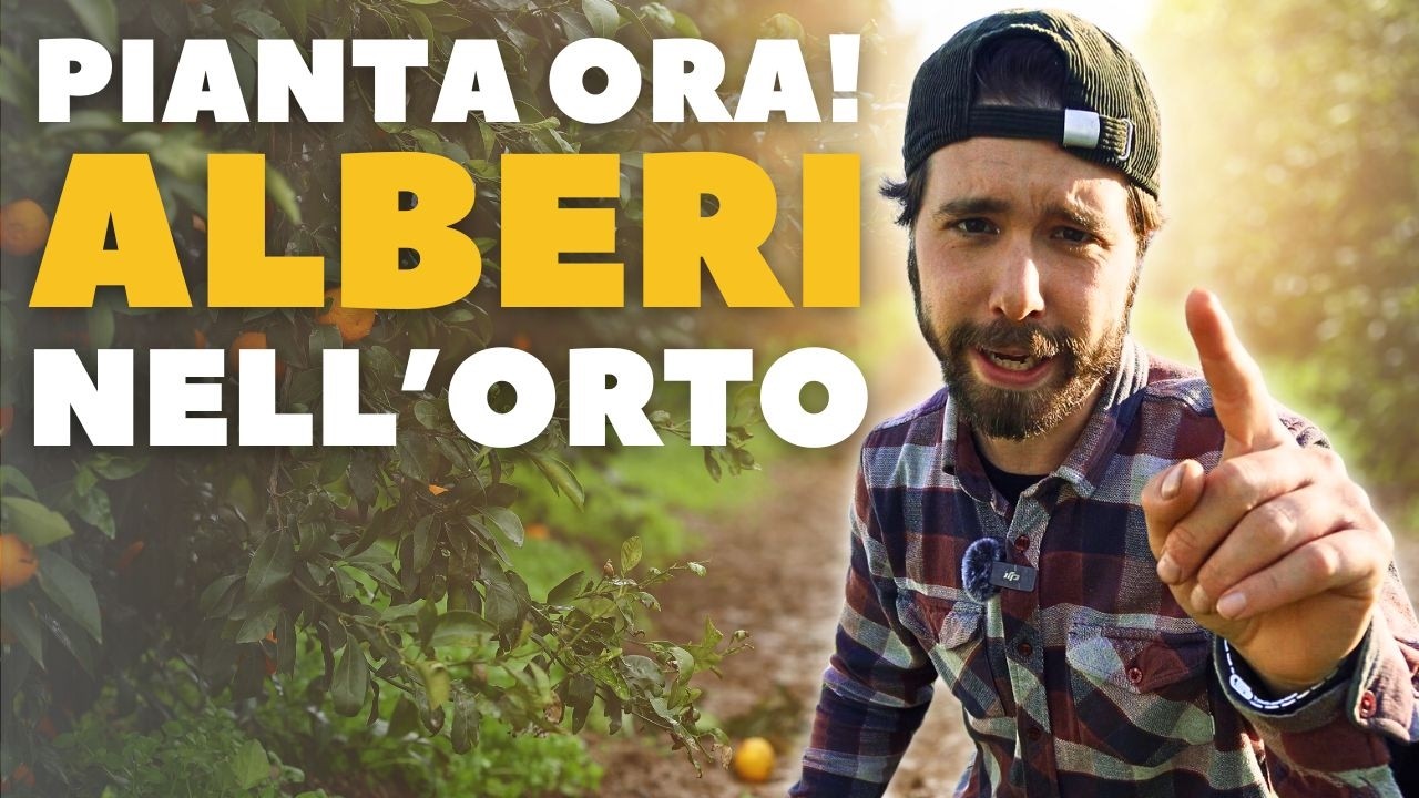 5 Motivi per Piantare ALBERI nel tuo Orto (Fallo Subito!)