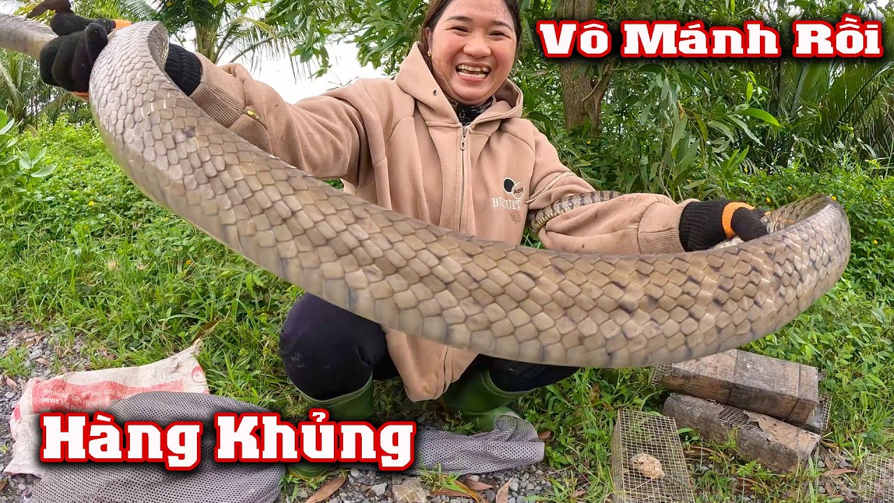 Hạ Gục Con RẮN Khủng Trong Khu Chung Cư Phước Đông # CSBR # 375