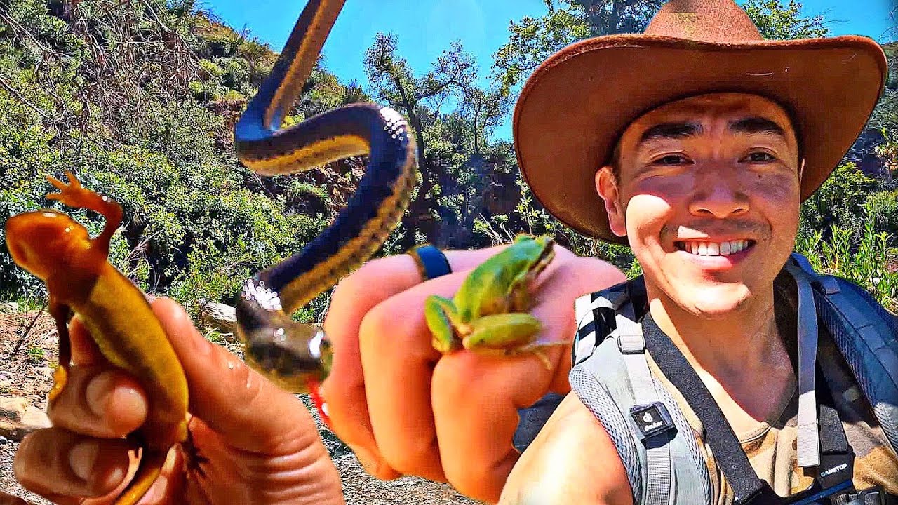 Leo Carillo Animal Adventure🦎🐸🐍🤠