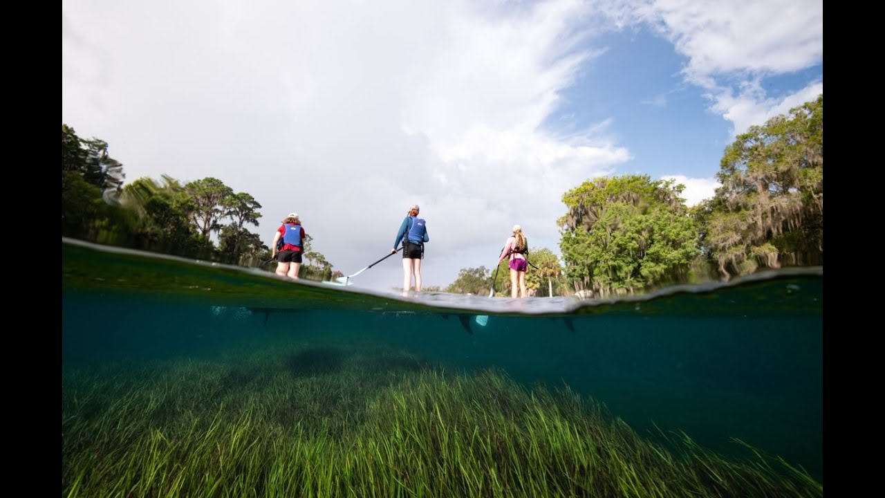 Home Waters