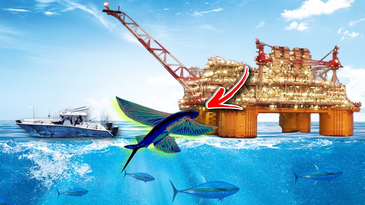 Невероятная наживка ловит ГИГАНТОВ под самой большой нефтяной вышкой в ​​Мексиканском заливе!